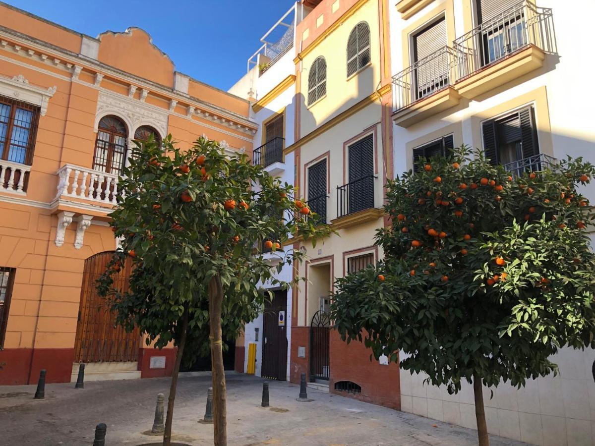 Unique House - Private Spa&Pool -Stayinseville Exterior photo